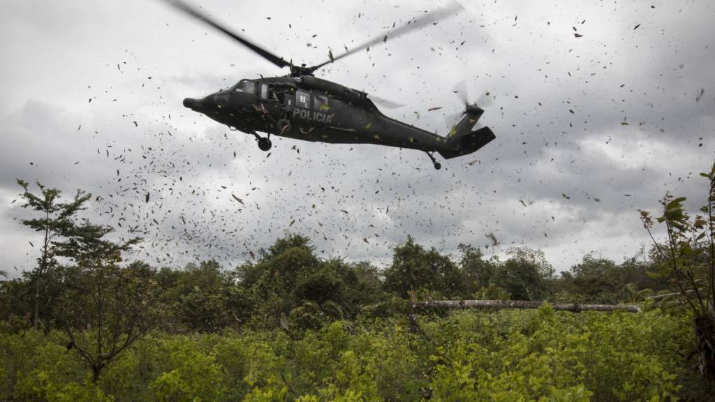 ARCHIV - Ein Polizeihubschrauber landet auf einer Kokaplantage während einer Vernichtungsaktion in Tumaco im Südwesten Kolumbiens. Foto: Ivan Valencia/AP/dpa