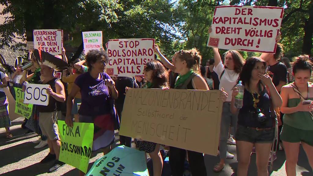 Rettet den Amazonas: Weltweite Demonstrationen