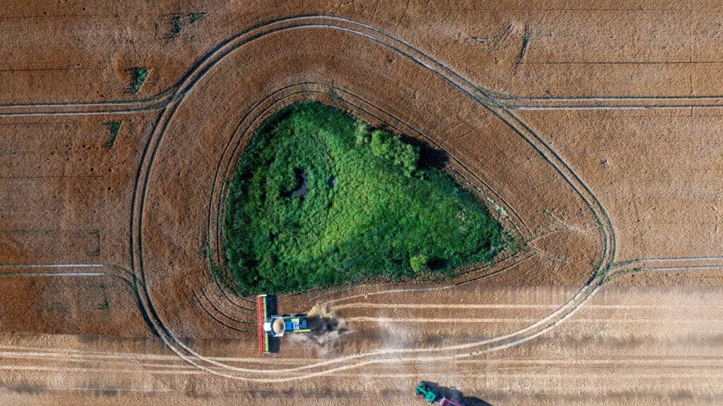 ARCHIV - Ein Mähdrescher fährt am Abend über ein Gerstenfeld und wird von einem Traktor mit einen Erntewagen begleitet (Luftaufnahme mit einer Drohne). Foto: Jens Büttner/dpa
