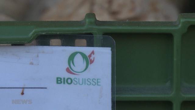 Grosser Aufstieg für Bio-Produkte