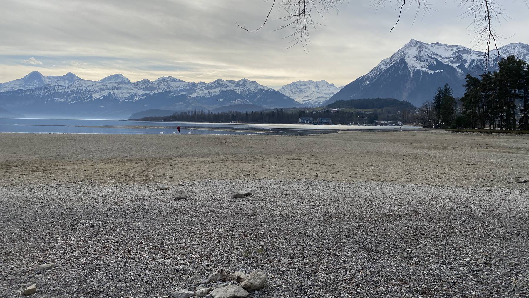 Der Thunersee wurde bereits im Januar 2020 ausserordentlich abgesenkt.