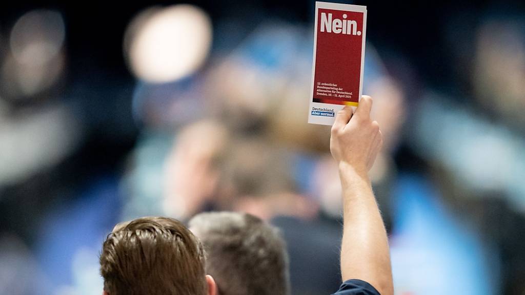 Die Delegierten zeigen in der Dresdener Messehalle beim Bundesparteitag der AfD ihre Stimmkarten. Foto: Kay Nietfeld/dpa