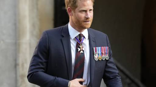 Prinz Harry wird von Hilfsorganisation verklagt