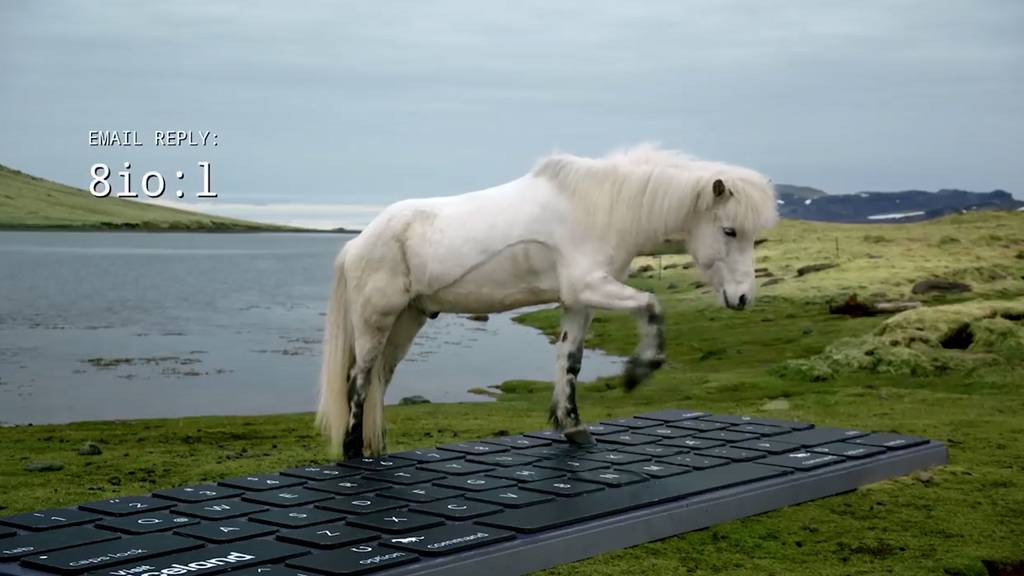 Diese Pferde beantworten E-Mails für Island-Touristen