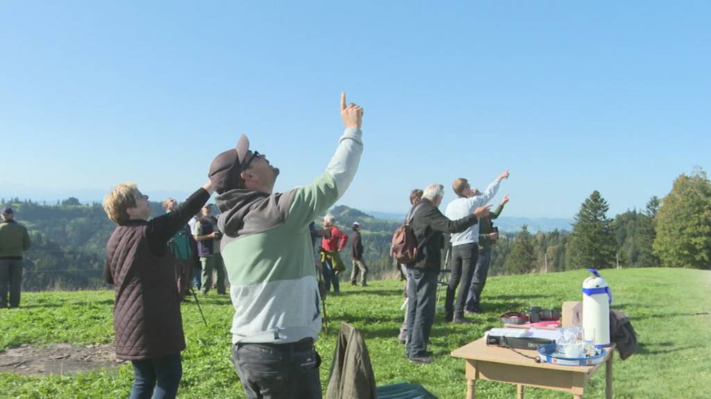 Höhenflug im Emmental am Zugvogeltag