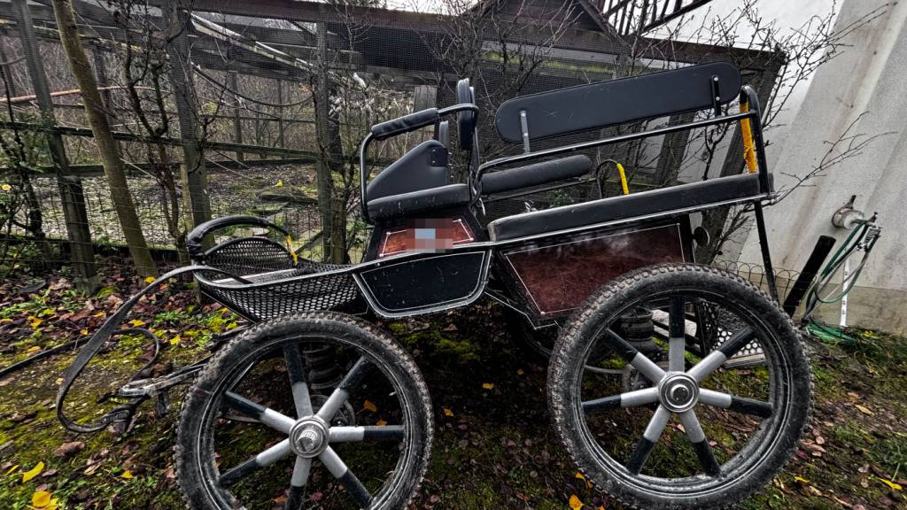 Pferde gehen in Amlikon-Bissegg TG mit einer Kutsche durch