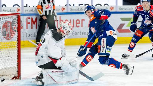 ZSC Lions und Fribourg in der Champions Hockey League