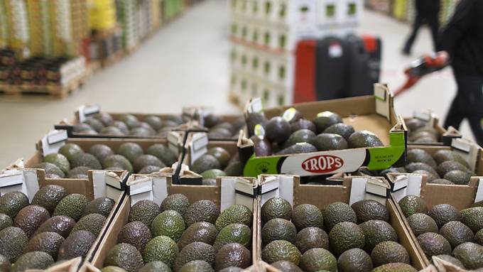 Avocados für Dubai: Kühne+Nagel geht in Kolumbien Kooperation ein