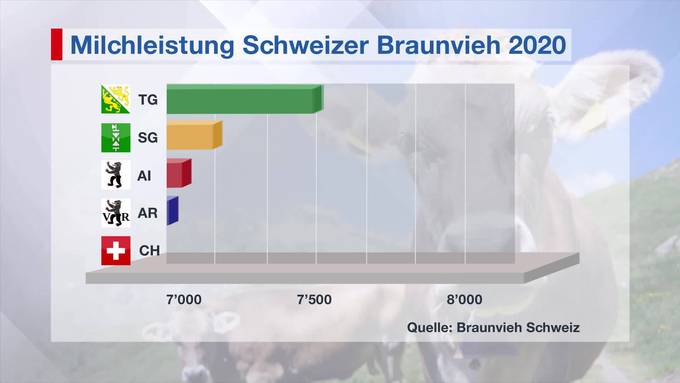 Spitzenreiter: Thurgauer Kühe geben am meisten Milch