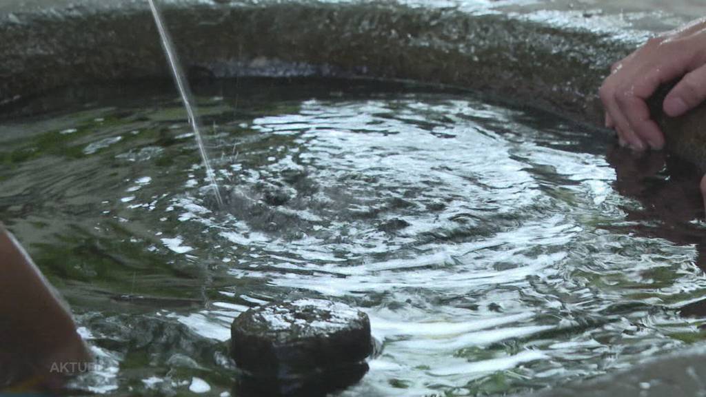 Das Brunnenwasser in Solothurn soll nicht mehr direkt in die Kanalisation fliessen