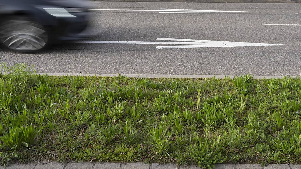 Mutmasslich wurden während einer Sitzung des Schulrats in Lütisburg SG Radmuttern am Auto der Schulpräsidentin gelockert. (Archivbild)