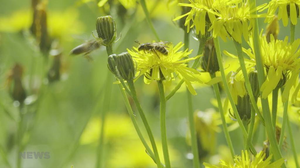 Tag der Biodiversität