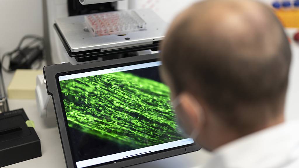 Schweizer Jungunternehmen haben im ersten Halbjahr 2023 deutlich weniger Geld von Investoren bekommen. Besonders stark war der Rückgang im Digitalisierungsbereich. (Symbolbild)
