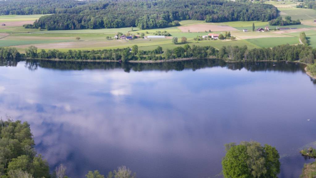 Der Hüttwiler See ist eines der Naturschutzgebiete im Kanton Thurgau, in denen vermehrt Ranger unterwegs sein werden.
