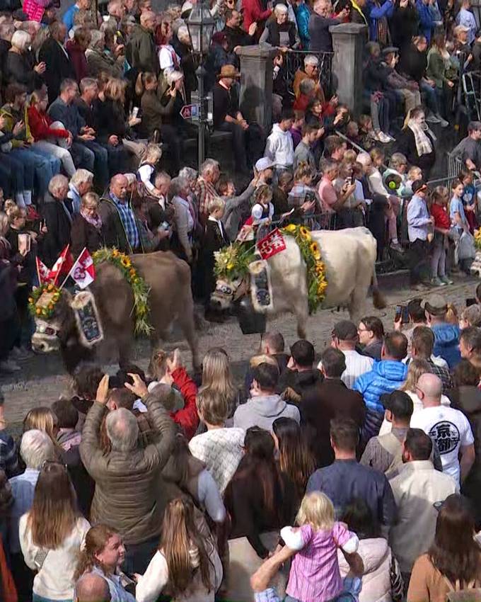 Die Highlights des Älperchilbi-Umzugs in Stans