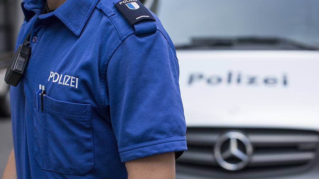 Die Luzerner Polizei war am Montag mit betrunkenen Automobilisten beschäftigt. (Symbolbild)