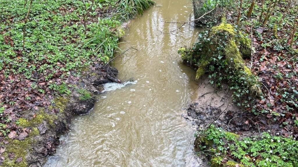 Die Gülle eines Landwirtschaftsbetriebes hat in Flawil SG ein Seitengewässer der Glatt verschmutzt.