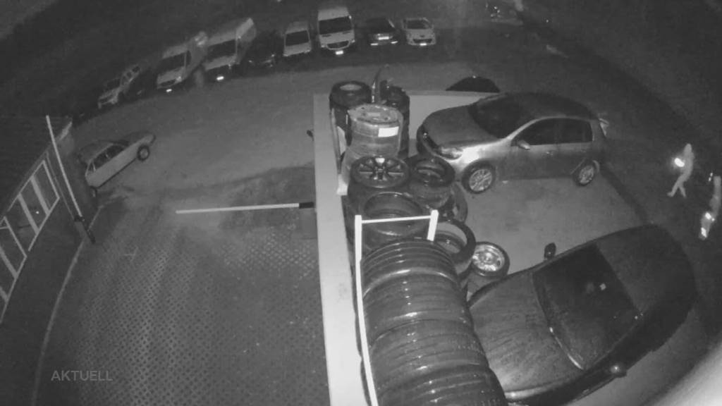 Einbrecher geschnappt: Platz im Polizeiauto anstatt im Luxusauto