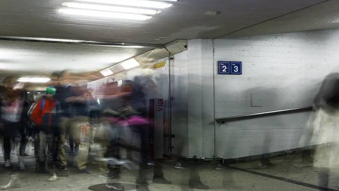 Leute angegriffen und im Zug masturbiert: Gericht bestraft 30-Jährigen