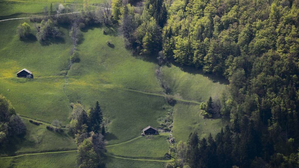 In St. Galler Wäldern leben stabile Bestände an Rauffusshühnern: Im Bild Bauernhöfe und Wald in Valens. (Archivbild)
