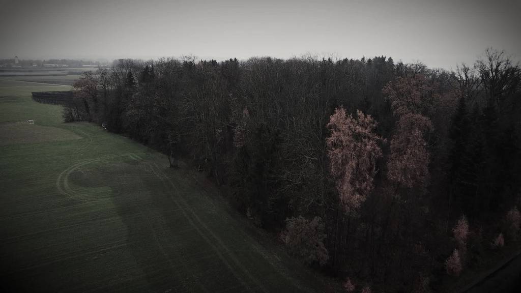 Vorschau: Beschuldigte im «Fall Bottighofen» vor Gericht