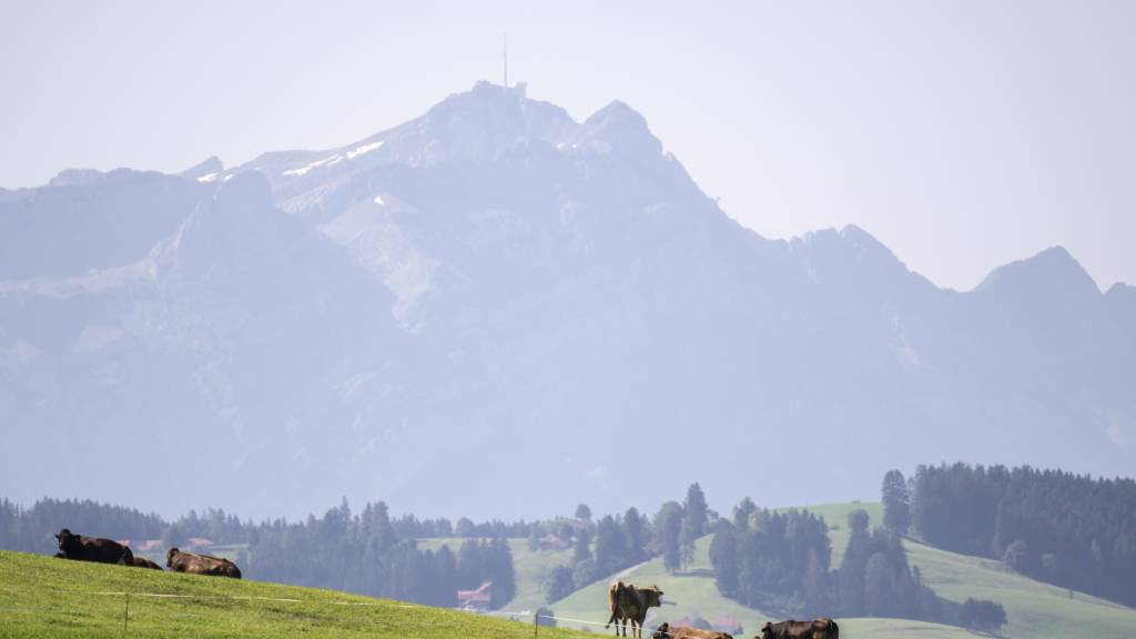 Beim Thema PFAS wird im Kanton St. Gallen die Schuldfrage gestellt