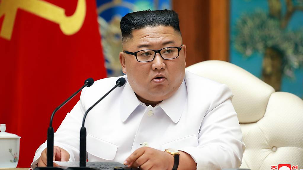 Auf Vorschlag von Nordkoreas Machthaber Kim Jong Un hat das Politbüro der Arbeiterpartei einen neuen Premierminister ernannt.