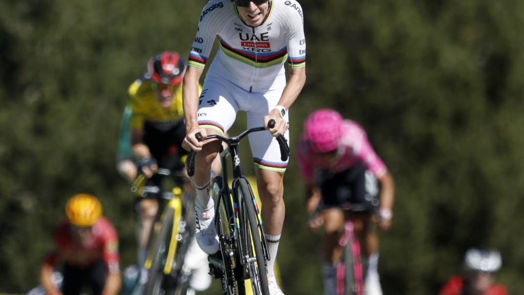 Pogacar und dann? Die Favoriten der Tour im Check
