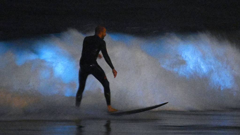 In Kalifornien wurde ein Surfer von einem Hai angegriffen. (Symbolbild)