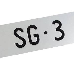 «SG 3» in Besitz eines Fürstenländers