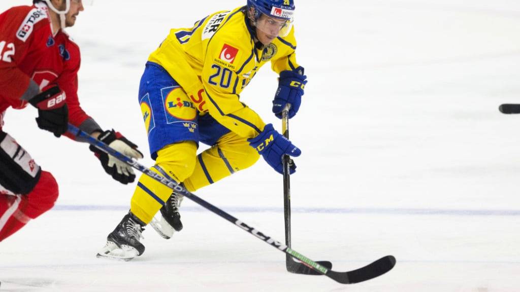 André Petersson (rechts) spielt in der kommenden Saison für die SCL Tigers