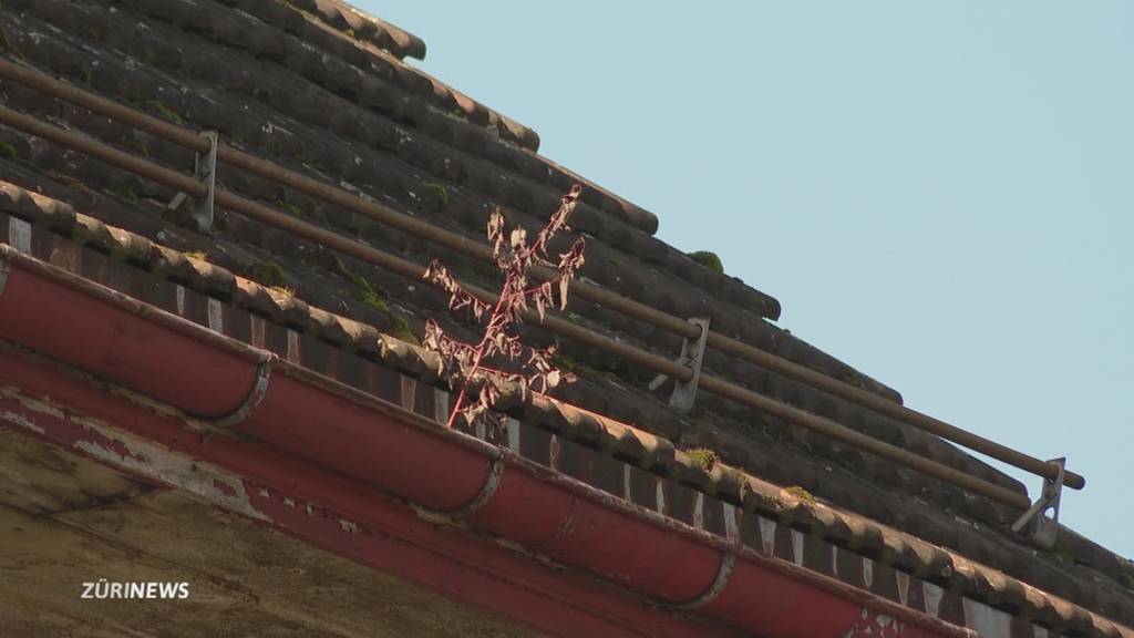 Zank um altes Landihaus in Illnau