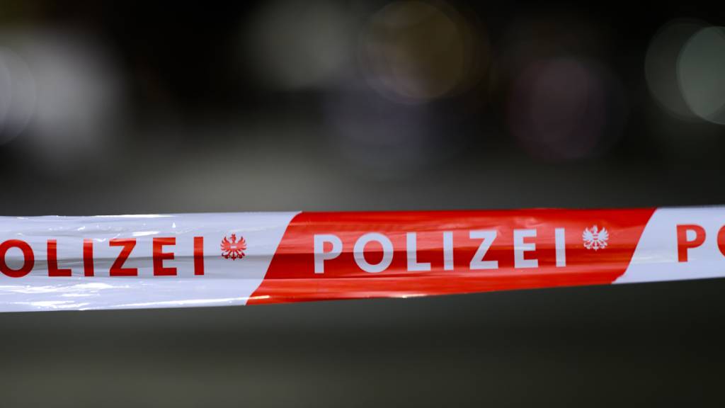 Nach einem tödlichen Messerangriff in Linz nahm die Polizei den Angreifer fest. (Archivbild)