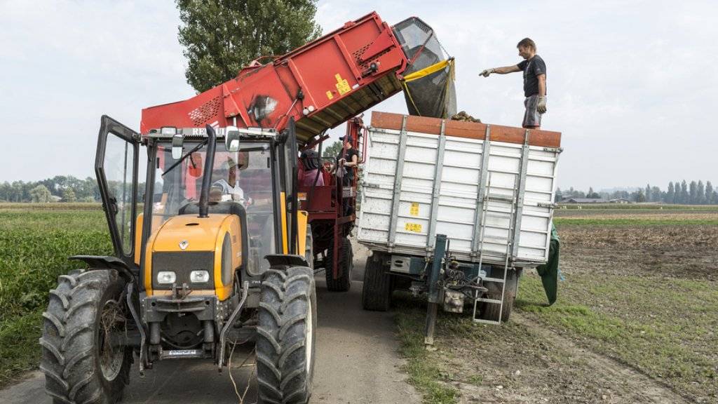Der Bundesrat will den Schweizer Agrarmarkt künftig stärker öffnen, die Bauern beharren auf einem starken Grenzschutz, und beide Seiten berufen sich dabei auf die vielzitierte «Ernährungssicherheit». (Symbolbild)