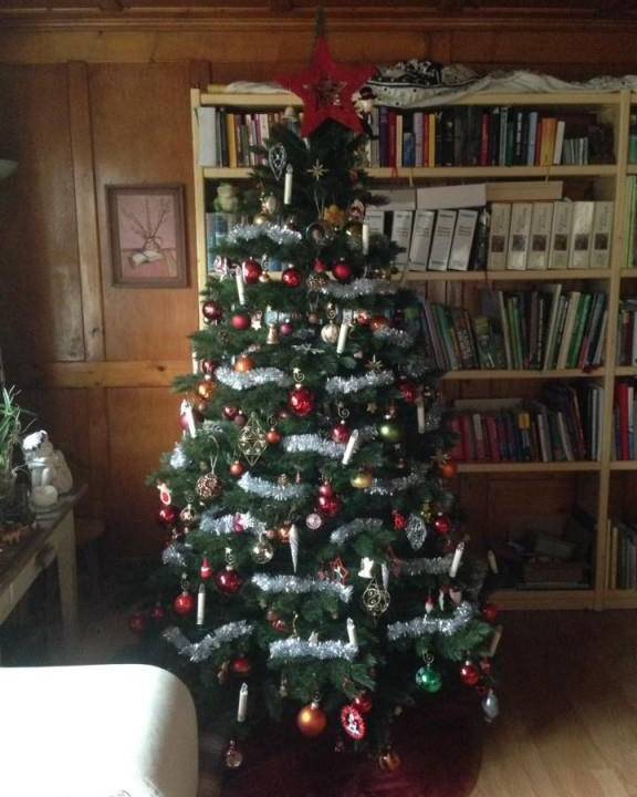Wer hat den schönsten Christbaum? FM1Today