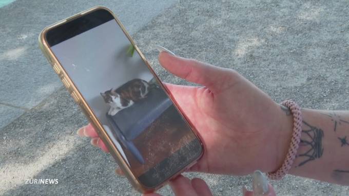 Happy End in Stein am Rhein: Kater Balu ist nach Entführung zurück