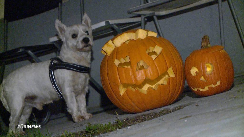 Polizeibilanz nach Halloween: 60 Einsätze in Zürich