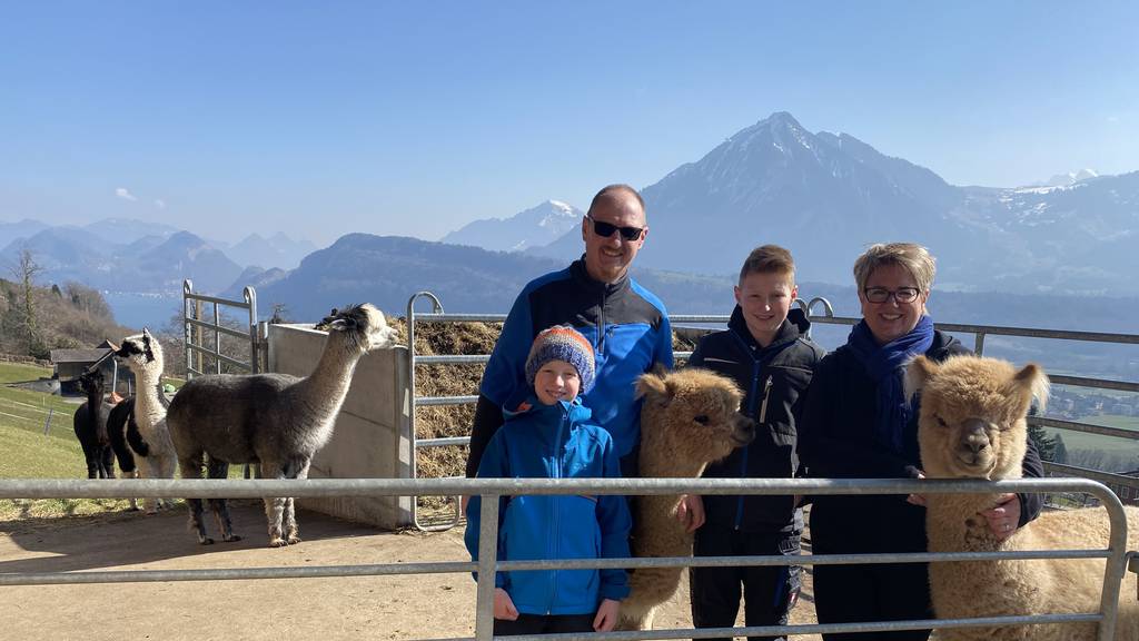 «Von kugelrunden Augen verzaubert»: Diese Familie züchtet Alpakas in Alpnach