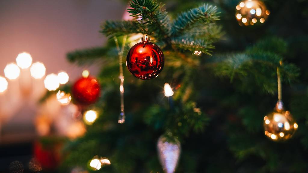 Der teuerste Weihnachtsbaum und der grösste Lebkuchenmann