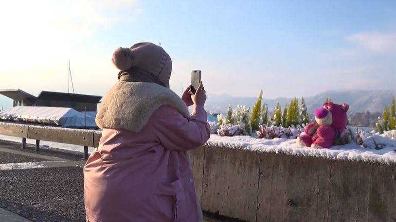 Erster Schneetag in Zürich verzaubert Menschen mit und ohne Teddybären