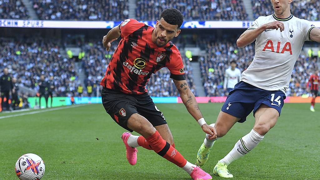 Stürmer Dominic Solanke wechselt innerhalb der Premier League von Bournemouth zu Tottenham