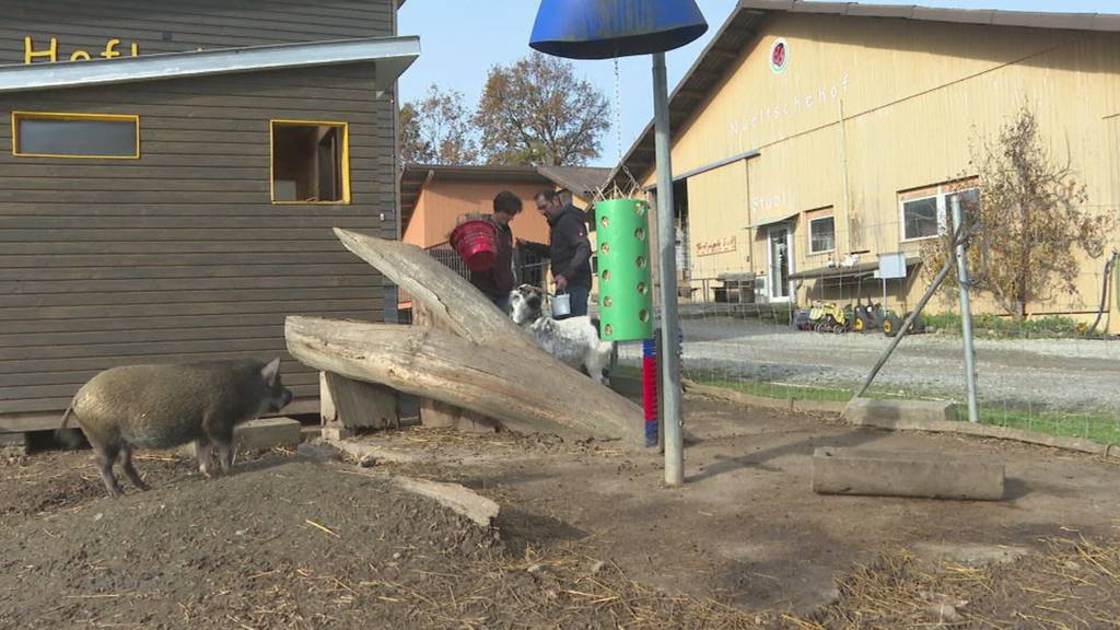 Gewonnen: Nüeltschehof in Wohlenschwil ist der Aargauer Lieblinshof 2025