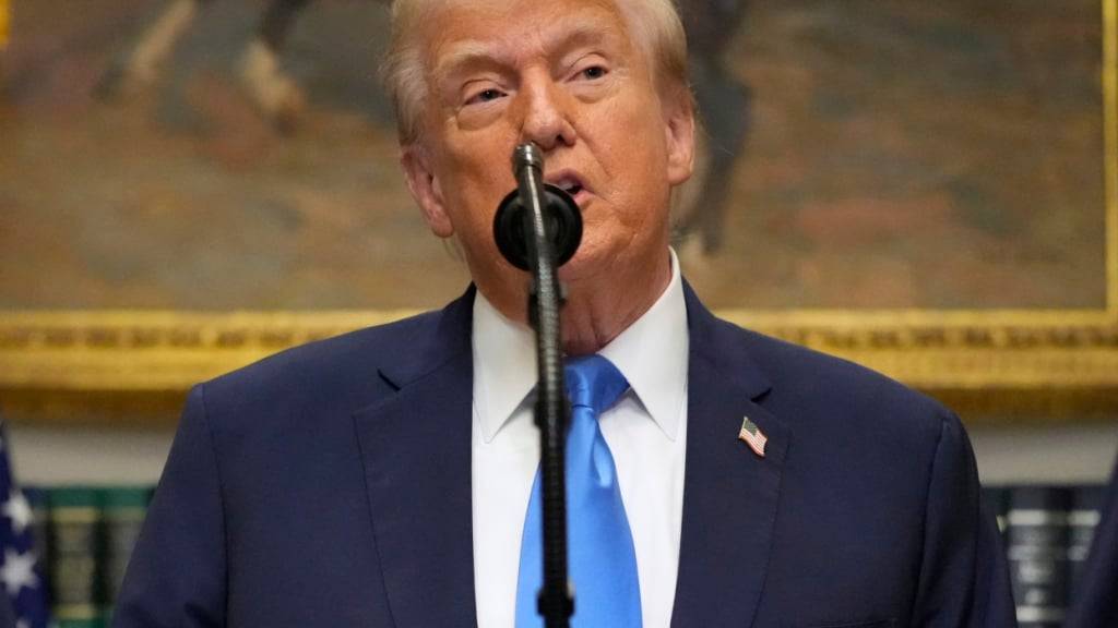 US-Präsident Donald Trump spricht im Roosevelt Room des Weißen Hauses. Foto: Mark Schiefelbein/AP/dpa