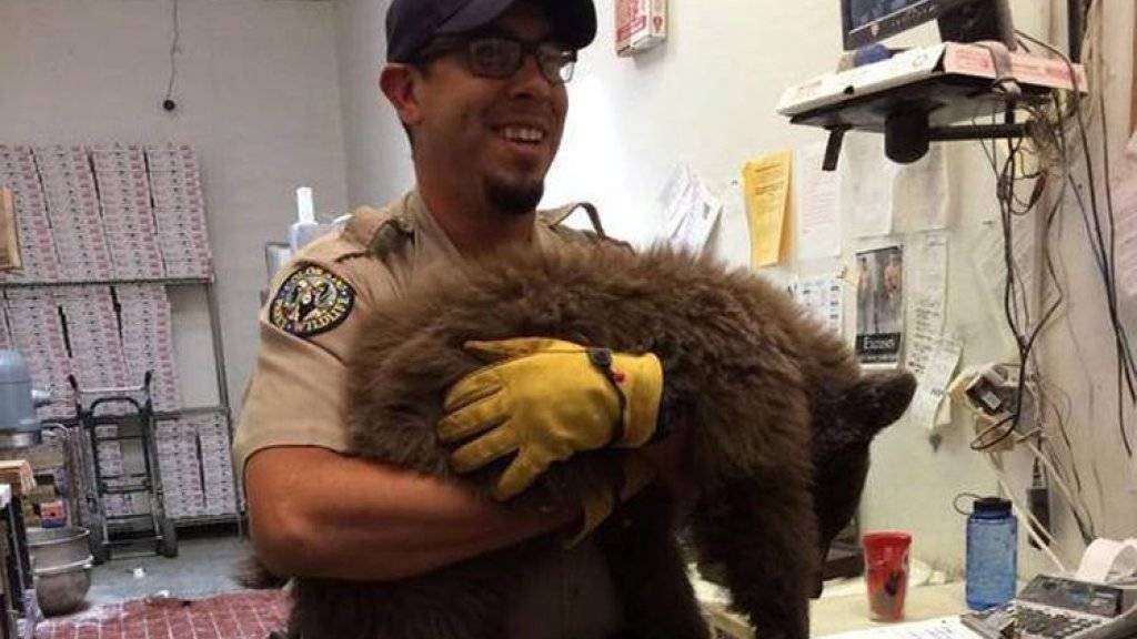 Ein Mitarbeiter der Wildbehörde trägt das betäubte Bärenbaby aus der Küche, in die es eingedrungen war.