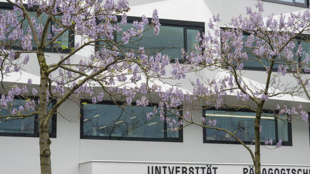 Das IWP ist ein An-Institut der Universität Luzern. (Archivaufnahme)