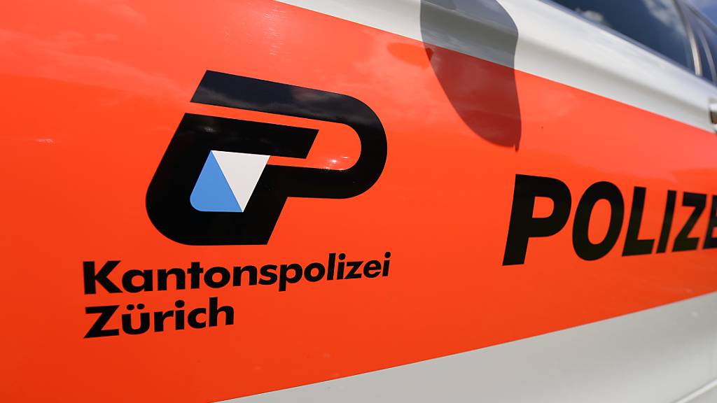 Unter der Leitung der Kantonspolizei Zürich gab es am Freitag einen grösseren Polizeieinsatz in Olten SO. (Symbolbild)