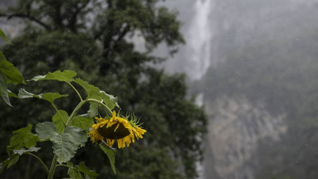 Ewigkeitschemikalie nimmt in Schweizer Gewässern stark zu