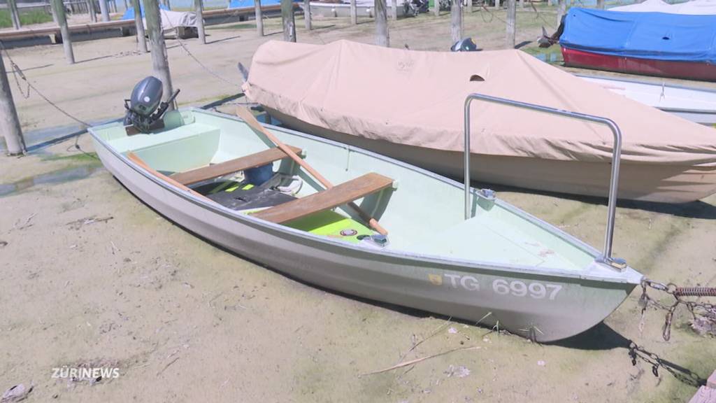 Pegel auf Rekordtief: Bodensee hatte im Juli noch nie so wenig Wasser
