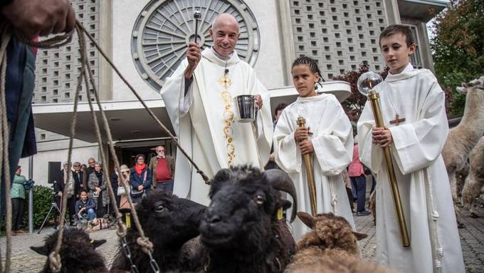 Berner Katholiken liessen ihre Haustiere segnen