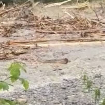 Hans Gerber ist bereits zum zweiten Mal von einem Hochwasser betroffen